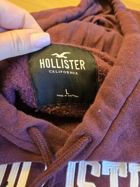 Hollister Men's Maroon Pullover Hoodie - Large
